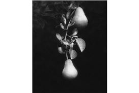 Danziger and Headstone Galleries Present Olivia Bee's Intimate New Work