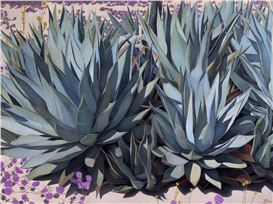 21 Under 31 | Shae Zoe Reardon