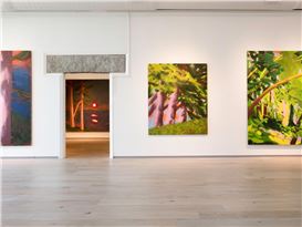 Women on the Verge: Five Museums in Maine Showcase Nicole Wittenberg and Ann Craven