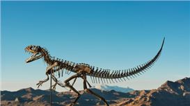 Sotheby’s Sells Juvenile Ceratosaur Dinosaur Fossil for $30.5 Million, Third-Highest Price at Auction