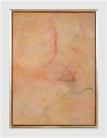 Calvin Marcus presents "Skin Paintings" in first European institutional solo show