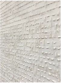 Roman Kujawa: Encoding Memory in Wire and Stone