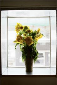 Art, Sound and Form Converge in ‘The Rule of Three’ Exhibition at otherthings by THE SHOPHOUSE