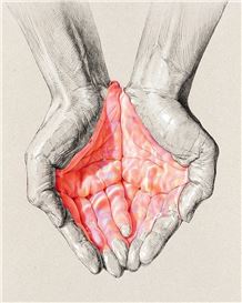 Poetic Colored Pencil Drawings Reveal the Elegance of the Human Body