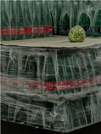 ‘The Cabbage Seemed Isolated and Alien’: Ieva Gaile’s Best Phone Picture