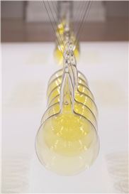 Hamad Butt: Apprehensions Review – Beauty and Violence from a Lost and Dangerous YBA