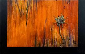 Review: Terry Allen Jones and Lauren Browning Explore Nature at Bihl Haus, San Antonio