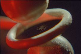 Rosa Barba “The Ocean of One’s Pause” MoMA – Museum of Modern Art, New York