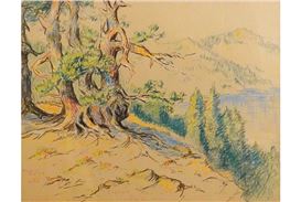 Cascadia Art Museum Opens Solo Exhibitions Featuring Works by Melville T. Wire and Milt Simons