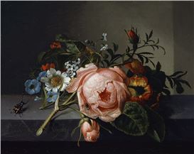 Rachel Ruysch’s Still Lifes, from the Dutch Golden Age, Are Both Sensuous and Scientific