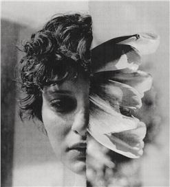 Artist Spotlight: Valerie Chiang