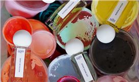 Artist Deborah Segun Designs an Infinite Garden of Color for Infiniment Coty Paris