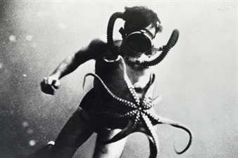 The National Geographic Collection: The Art of Exploration