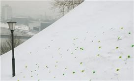 Sonja Meller: Where Concepts Drift into Sensory Encounters