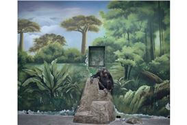 Sony Announces Winners for 2025 World Photography Awards