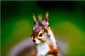 Can Art Survive the AI Juggernaut?