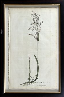 Arader Galleries Online Summer Auction 2025 - Arader Galleries